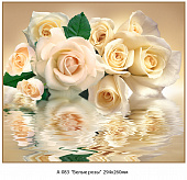 Фотообои Белые розы 294*260